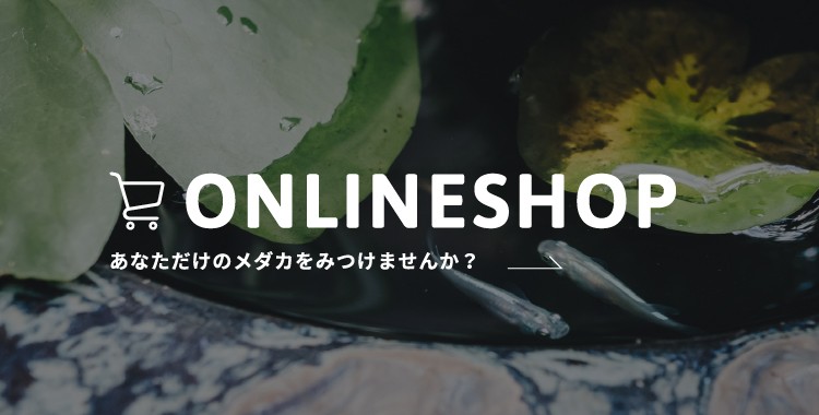 ONLINE SHOP あなただけのメダカを見つけませんか？